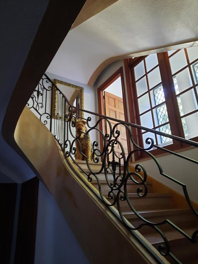 Le Clos Des Soyeux Saint-Victor-sur-Rhins Kültér fotó