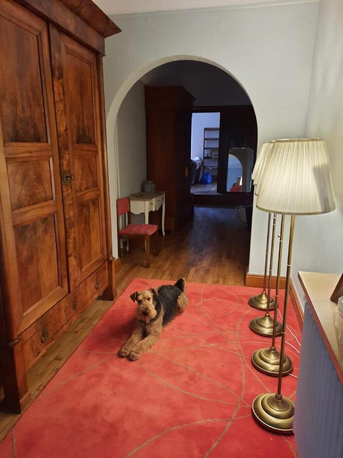 Le Clos Des Soyeux Saint-Victor-sur-Rhins Kültér fotó